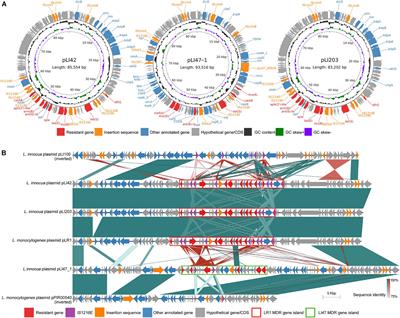 Whole Genome Analysis of Three Multi-Drug Resistant Listeria innocua and Genomic Insights Into Their Relatedness With Resistant Listeria monocytogenes